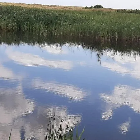 6 Person In Hals-by Traum